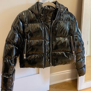 Puff Cropped Winter Jacket, Size 6 Petite, Fits like a Small